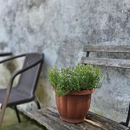La Piccola Dimora Nel Borgo Apartment Cepagatti