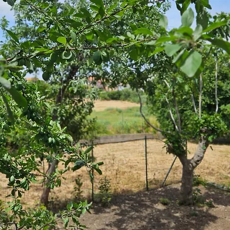 La Piccola Dimora Nel Borgo Appartement *