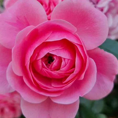 La Piccola Dimora Nel Borgo Appartement