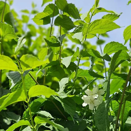Appartement La Piccola Dimora Nel Borgo
