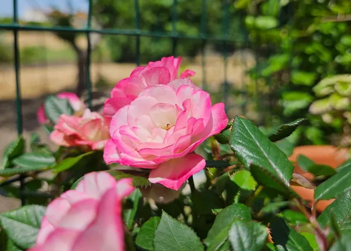 La Piccola Dimora Nel Borgo